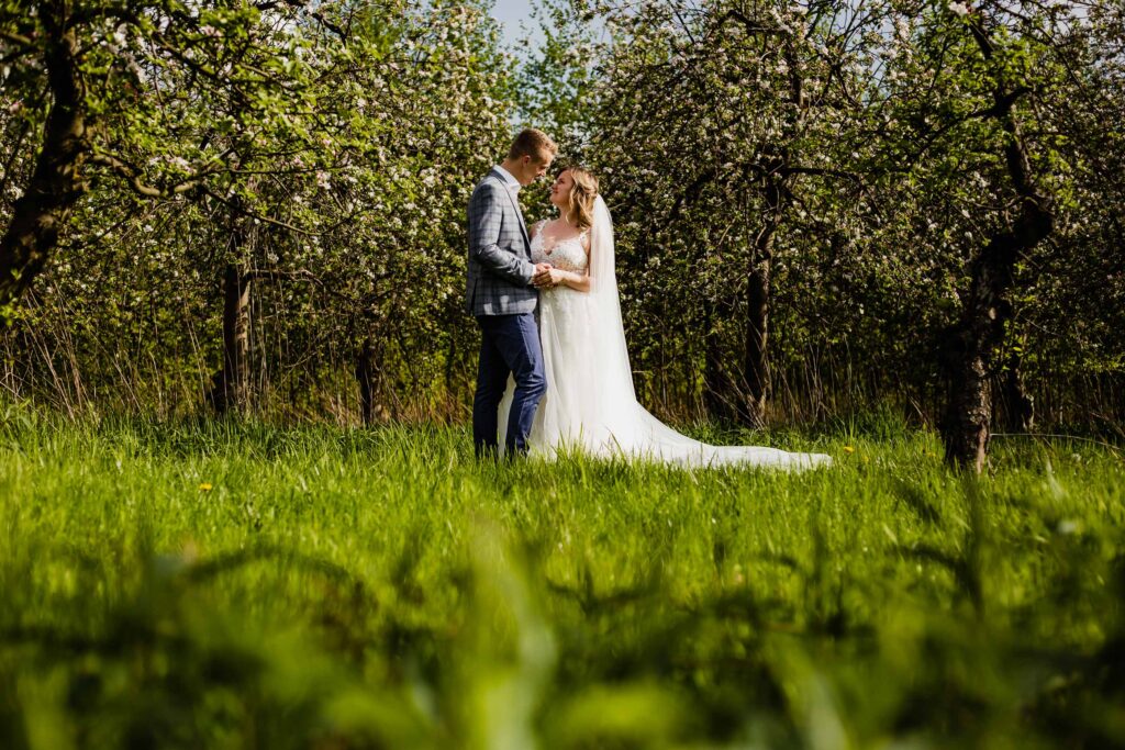 Wiosenna miłość - Sesja ślubna w sadzie pełnym jabłoni i wiśni.